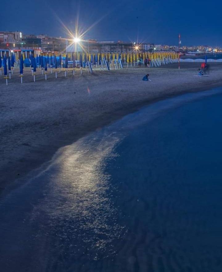 Rome Sea Apartment Lido di Ostia Bagian luar foto